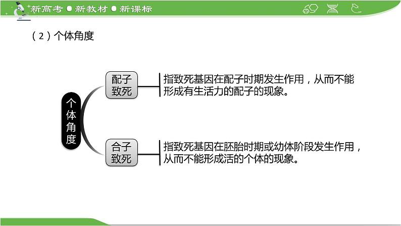 【高考大一轮单元复习】高考生物单元复习课件与检测-微专题06《分离定律中的特殊情况》（新教材新高考）第5页