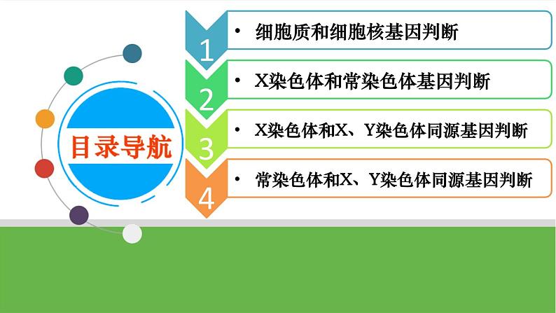 【高考大一轮单元复习】高考生物单元复习课件与检测-微专题08《一对等位基因在细胞中位置的判定方法》（新教材新高考）02