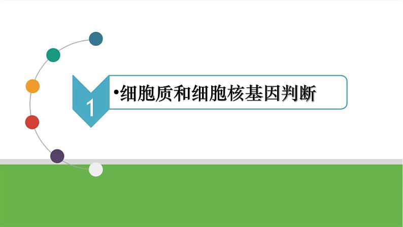 【高考大一轮单元复习】高考生物单元复习课件与检测-微专题08《一对等位基因在细胞中位置的判定方法》（新教材新高考）03