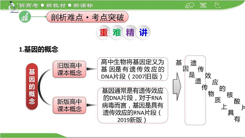 【高考大一轮单元复习】高考生物单元复习课件与检测-微专题08《一对等位基因在细胞中位置的判定方法》（新教材新高考）04