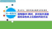 【高考大一轮单元复习】高考生物单元复习课件与检测-微专题09《两对、多对及外源基因在染色体上位置的判定方法》（新教材新高考）