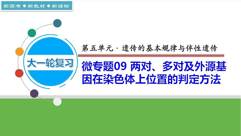 【高考大一轮单元复习】高考生物单元复习课件与检测-微专题09《两对、多对及外源基因在染色体上位置的判定方法》（新教材新高考）第1页