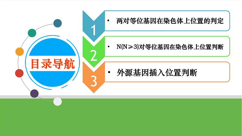 【高考大一轮单元复习】高考生物单元复习课件与检测-微专题09《两对、多对及外源基因在染色体上位置的判定方法》（新教材新高考）第2页