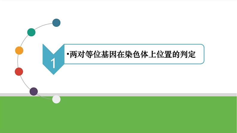 【高考大一轮单元复习】高考生物单元复习课件与检测-微专题09《两对、多对及外源基因在染色体上位置的判定方法》（新教材新高考）第4页