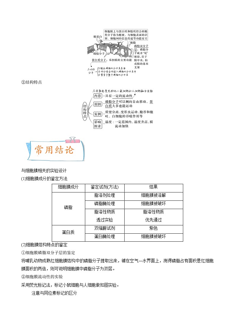 【高考考点专题复习】高考生物考点专题复习——考向02《细胞的基本结构》全能卷（全国通用）（原卷版）第2页