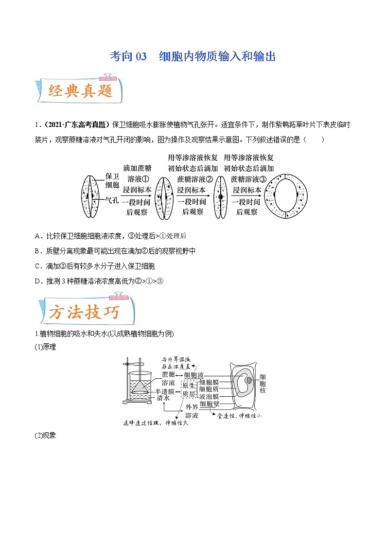 【高考考点专题复习】高考生物考点专题复习——考向03《细胞内物质输入和输出》全能卷（全国通用）（原卷版）第1页