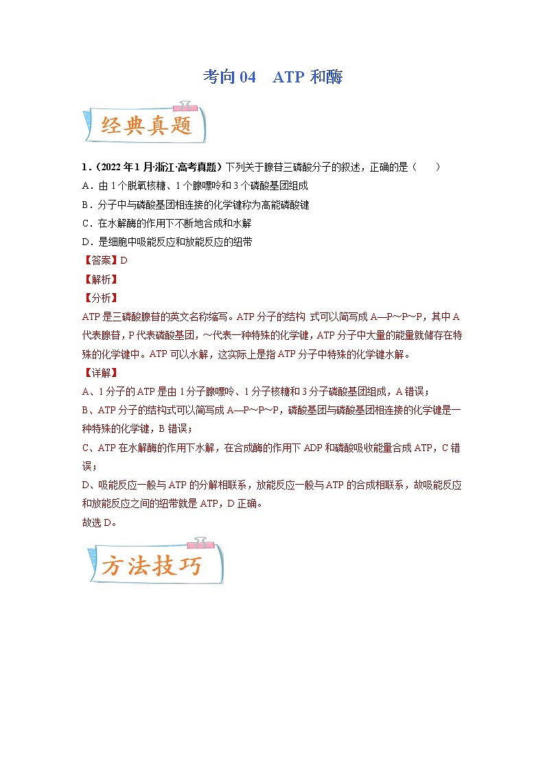 【高考考点专题复习】高考生物考点专题复习——考向04《ATP和酶》全能卷（全国通用）（解析版）第1页