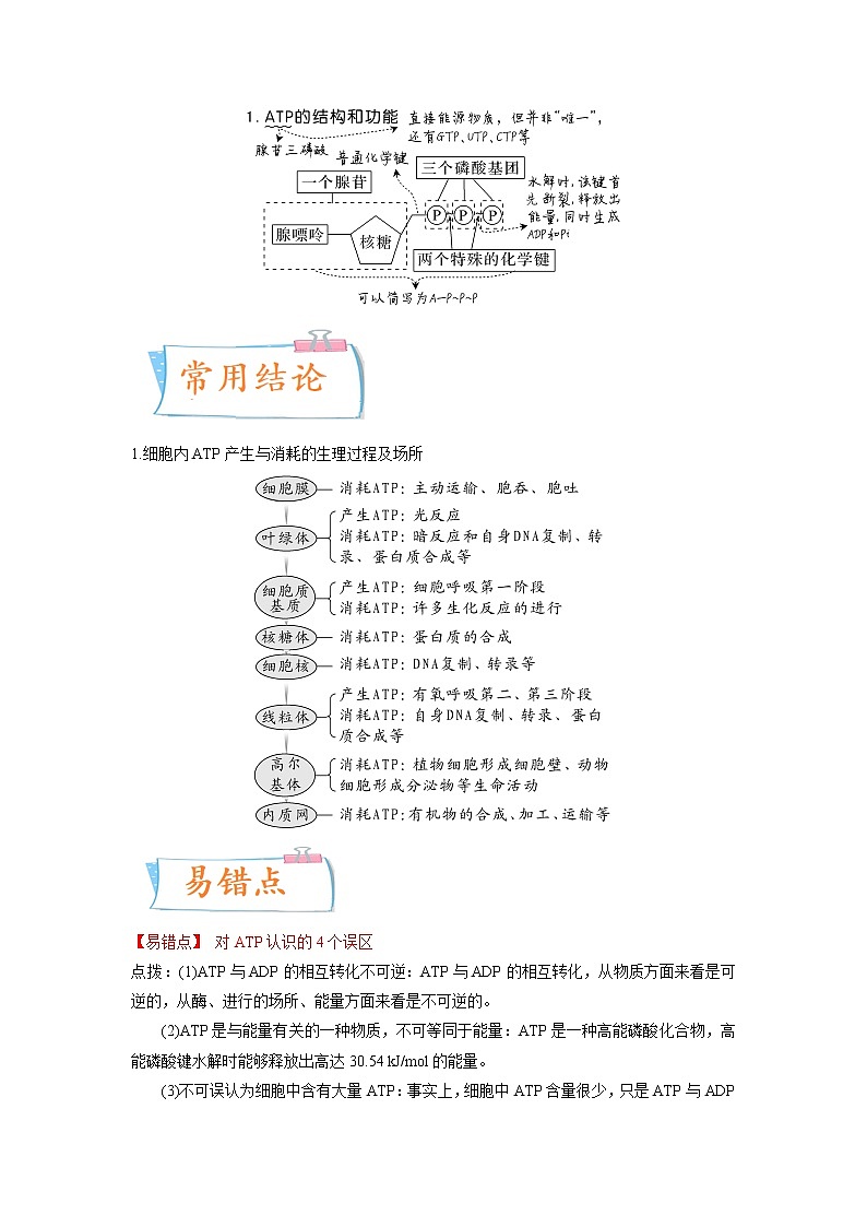 【高考考点专题复习】高考生物考点专题复习——考向04《ATP和酶》全能卷（全国通用）（解析版）第2页