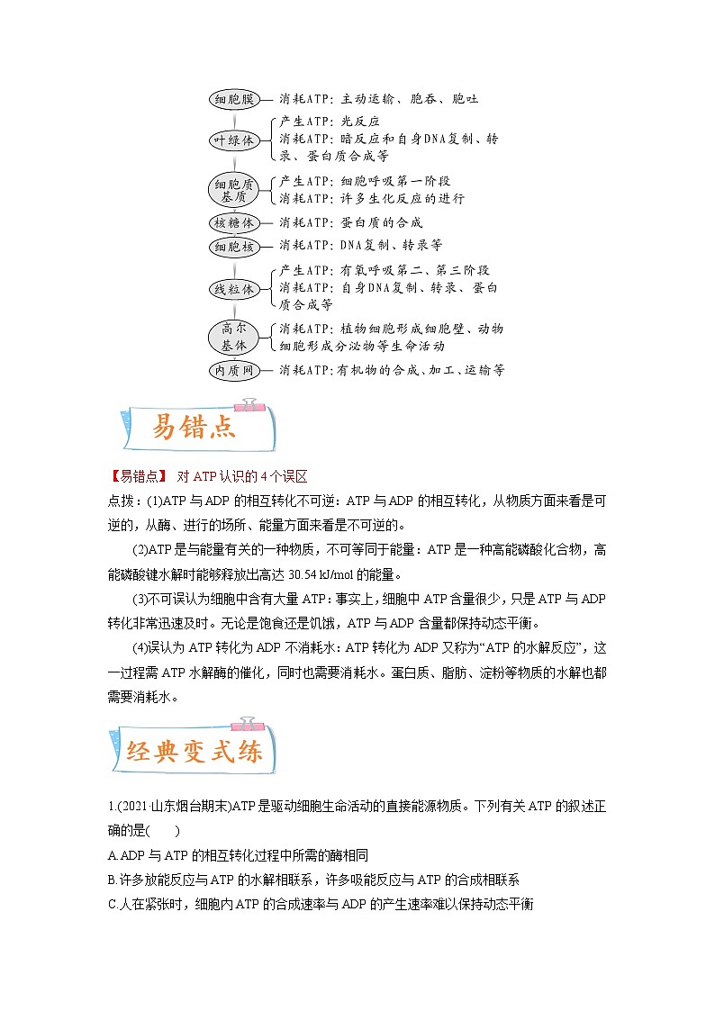 【高考考点专题复习】高考生物考点专题复习——考向04《ATP和酶》全能卷（全国通用）（原卷版）第2页