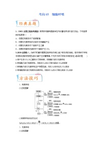 【高考考点专题复习】高考生物考点专题复习——考向05《细胞呼吸》全能卷（全国通用）