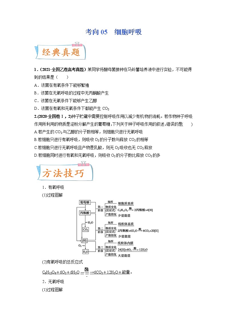 【高考考点专题复习】高考生物考点专题复习——考向05《细胞呼吸》全能卷（全国通用）（原卷版）第1页