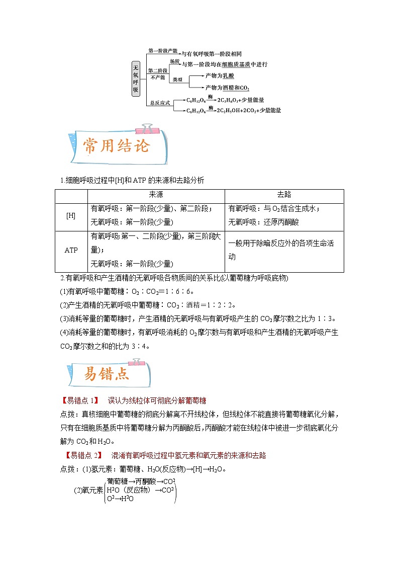 【高考考点专题复习】高考生物考点专题复习——考向05《细胞呼吸》全能卷（全国通用）（原卷版）第2页