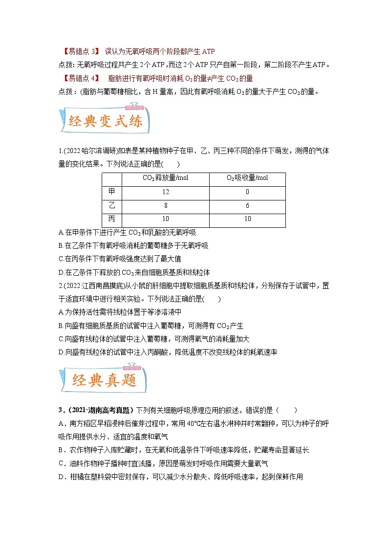 【高考考点专题复习】高考生物考点专题复习——考向05《细胞呼吸》全能卷（全国通用）（原卷版）第3页