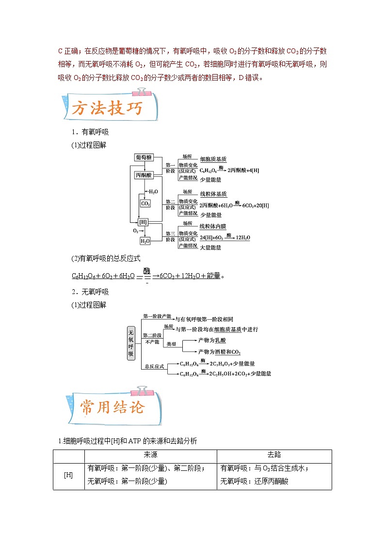 【高考考点专题复习】高考生物考点专题复习——考向05《细胞呼吸》全能卷（全国通用）（解析版）第2页