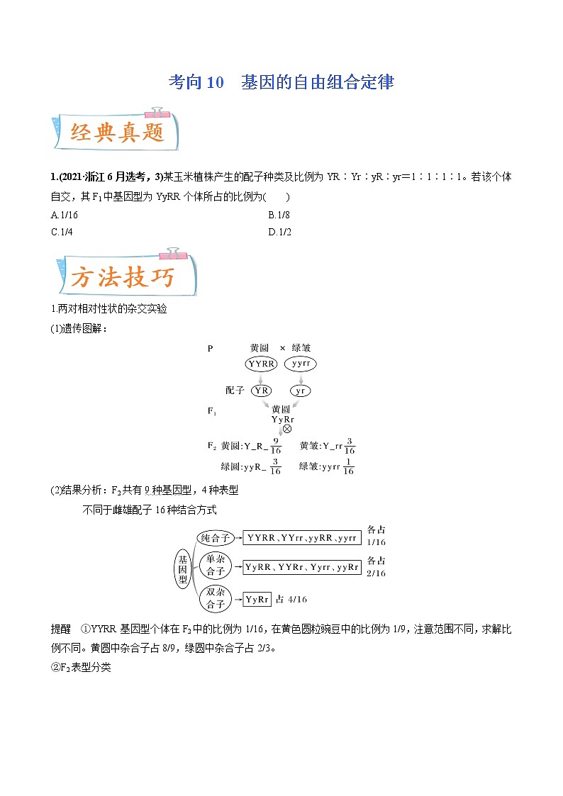 【高考考点专题复习】高考生物考点专题复习——考向10《基因的自由组合定律》全能卷（全国通用）（原卷版）第1页