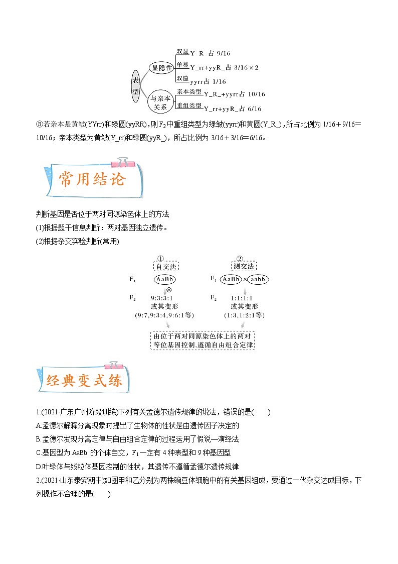 【高考考点专题复习】高考生物考点专题复习——考向10《基因的自由组合定律》全能卷（全国通用）（原卷版）第2页