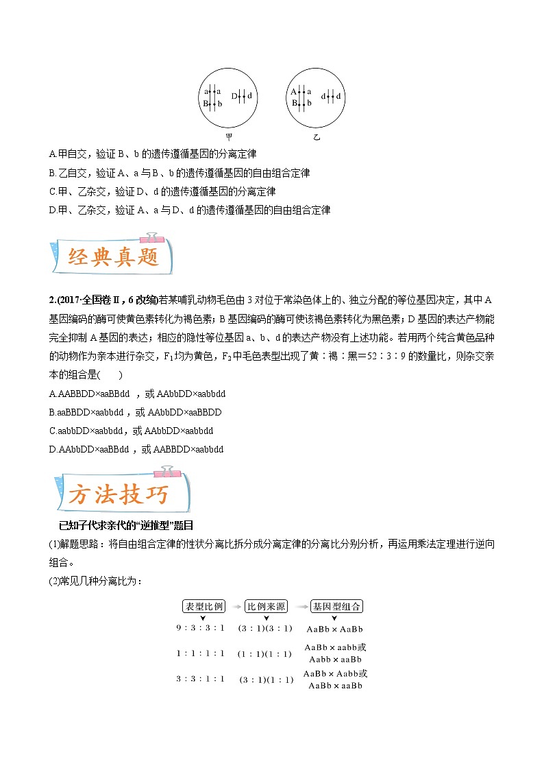 【高考考点专题复习】高考生物考点专题复习——考向10《基因的自由组合定律》全能卷（全国通用）（原卷版）第3页