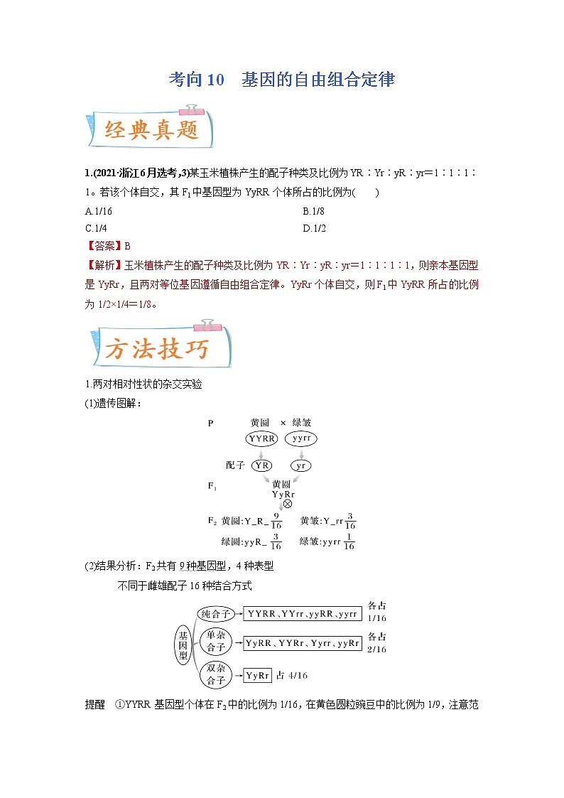 【高考考点专题复习】高考生物考点专题复习——考向10《基因的自由组合定律》全能卷（全国通用）（解析版）第1页