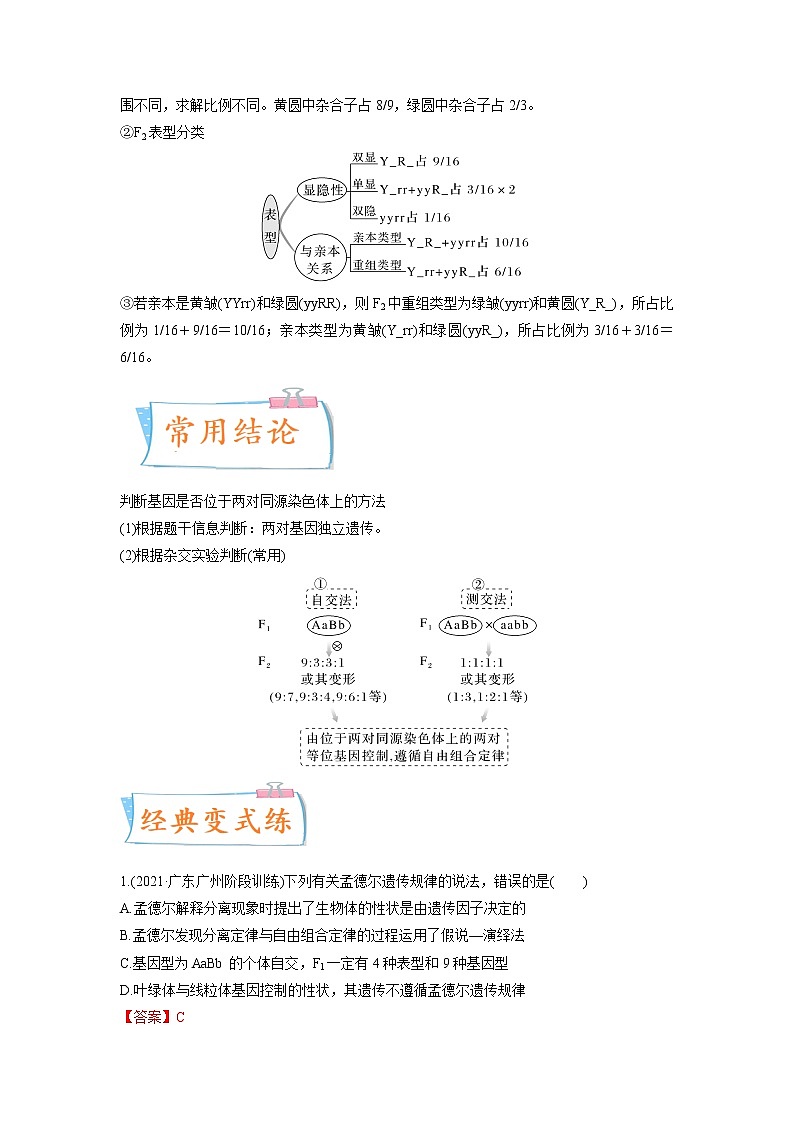 【高考考点专题复习】高考生物考点专题复习——考向10《基因的自由组合定律》全能卷（全国通用）（解析版）第2页