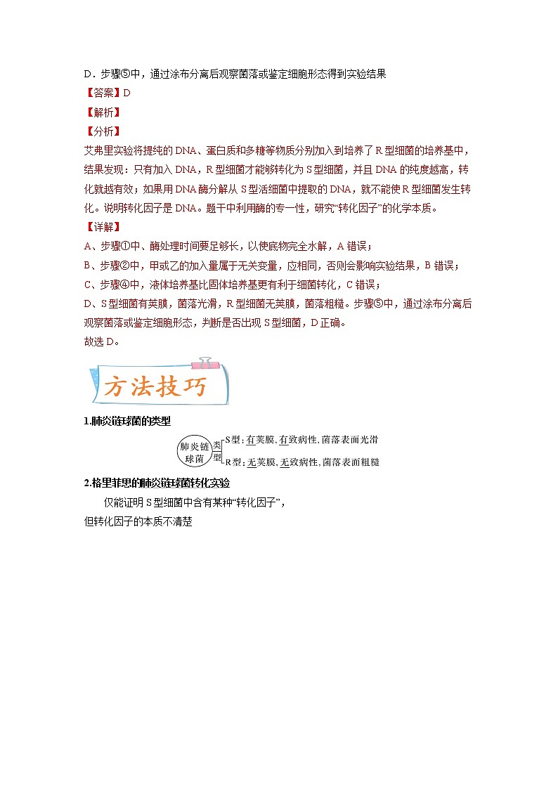 【高考考点专题复习】高考生物考点专题复习——考向12《基因的本质》全能卷（全国通用）（解析版）第2页