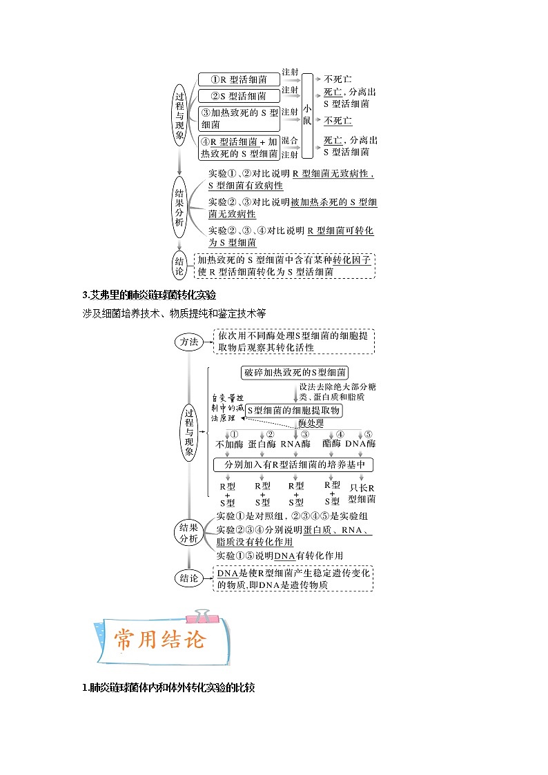 【高考考点专题复习】高考生物考点专题复习——考向12《基因的本质》全能卷（全国通用）（解析版）第3页