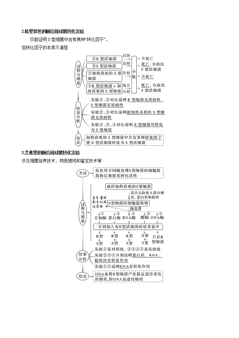 【高考考点专题复习】高考生物考点专题复习——考向12《基因的本质》全能卷（全国通用）（原卷版）第2页