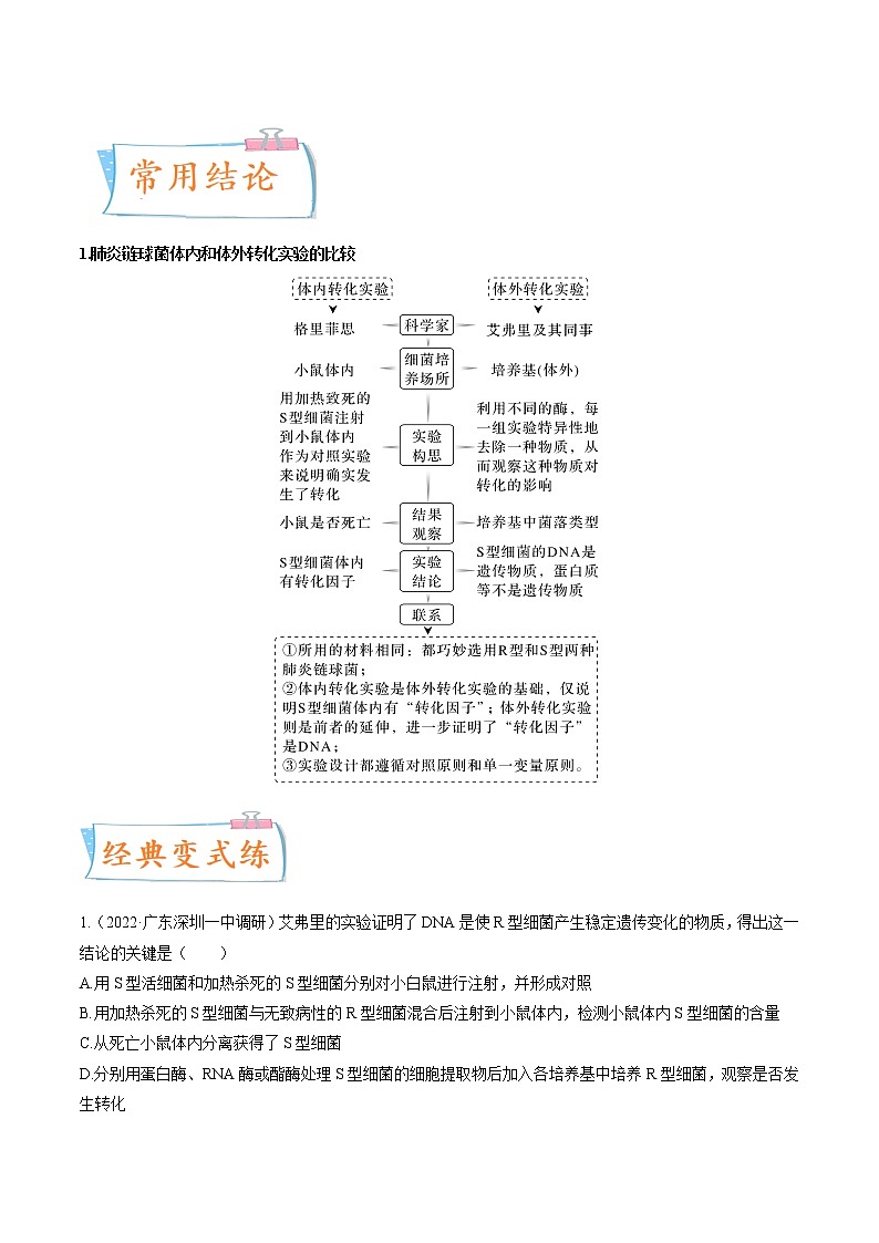 【高考考点专题复习】高考生物考点专题复习——考向12《基因的本质》全能卷（全国通用）（原卷版）第3页