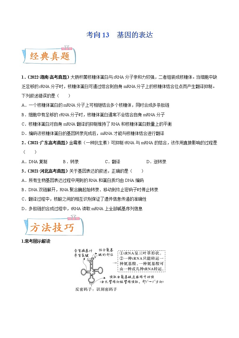 【高考考点专题复习】高考生物考点专题复习——考向13《基因的表达》全能卷（全国通用）（原卷版）第1页
