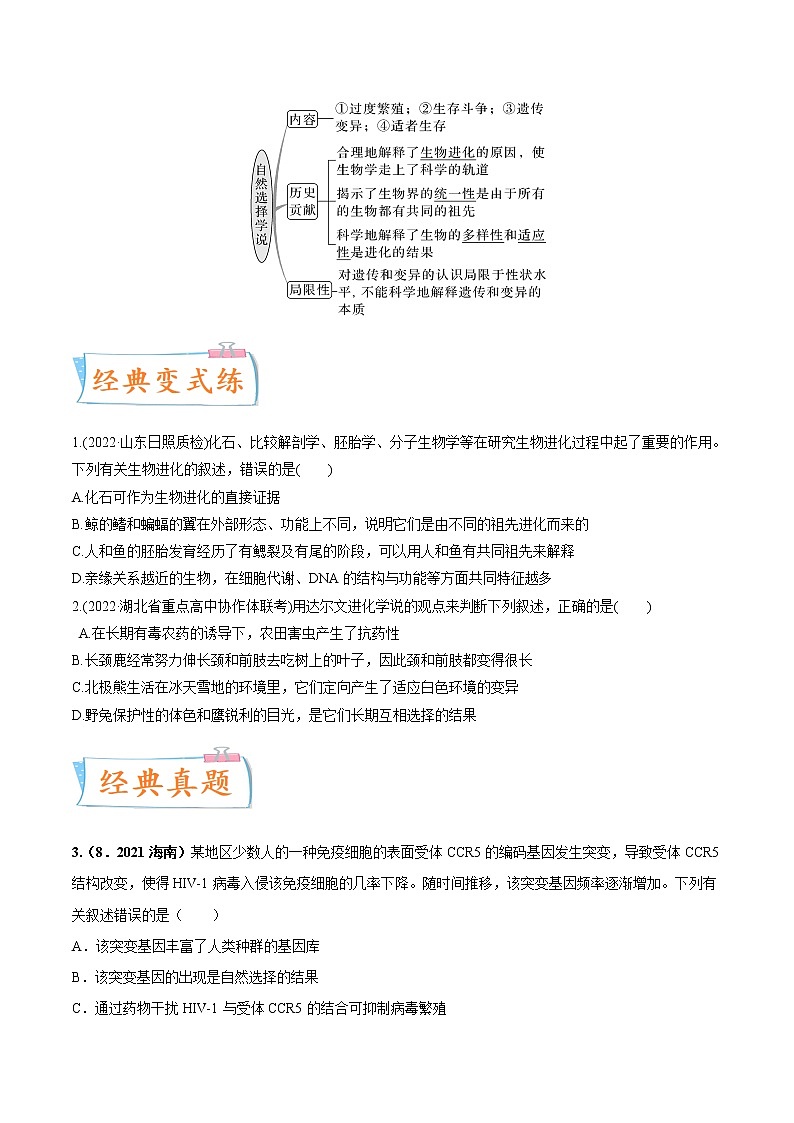 【高考考点专题复习】高考生物考点专题复习——考向15《生物的进化》全能卷（全国通用）（原卷版）第2页
