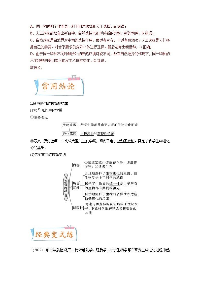 【高考考点专题复习】高考生物考点专题复习——考向15《生物的进化》全能卷（全国通用）（解析版）第2页