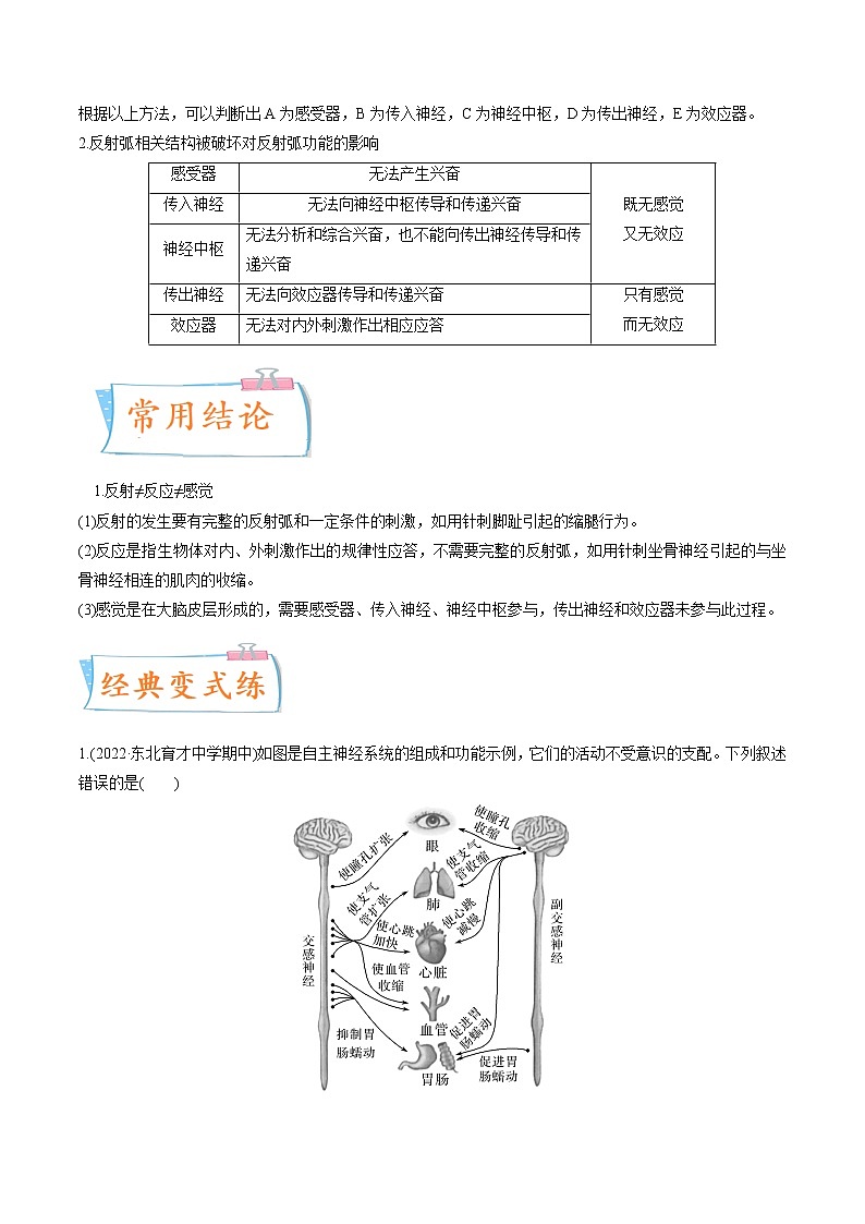 【高考考点专题复习】高考生物考点专题复习——考向17《神经调节》全能卷（全国通用）（解析版）第2页