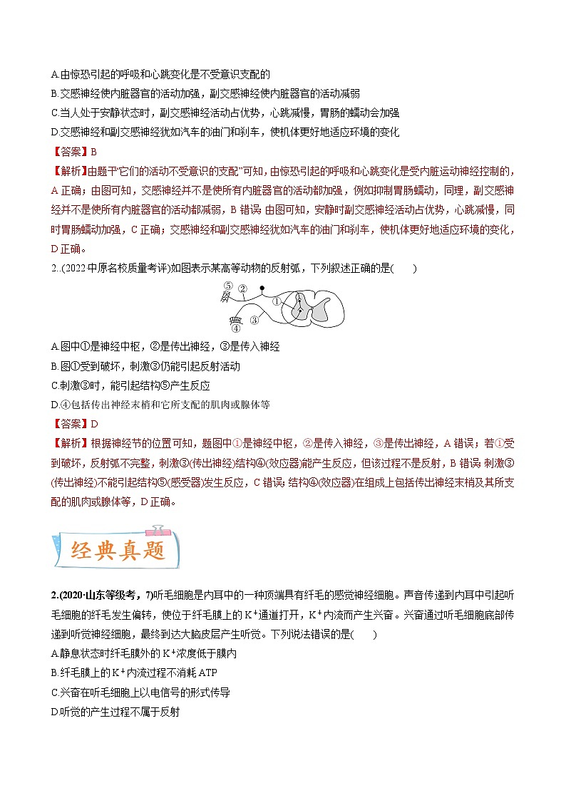 【高考考点专题复习】高考生物考点专题复习——考向17《神经调节》全能卷（全国通用）（解析版）第3页