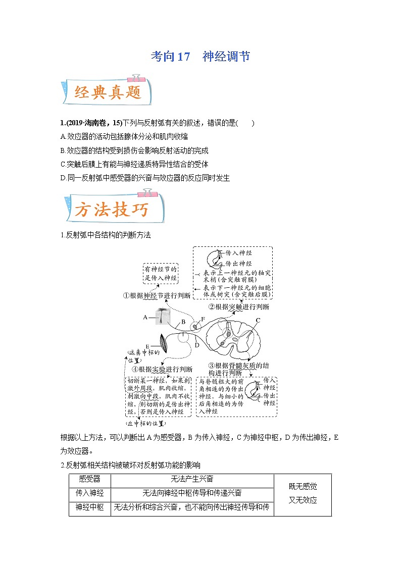 【高考考点专题复习】高考生物考点专题复习——考向17《神经调节》全能卷（全国通用）（原卷版）第1页