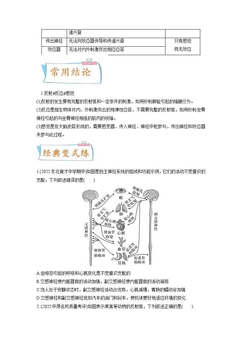 【高考考点专题复习】高考生物考点专题复习——考向17《神经调节》全能卷（全国通用）（原卷版）第2页