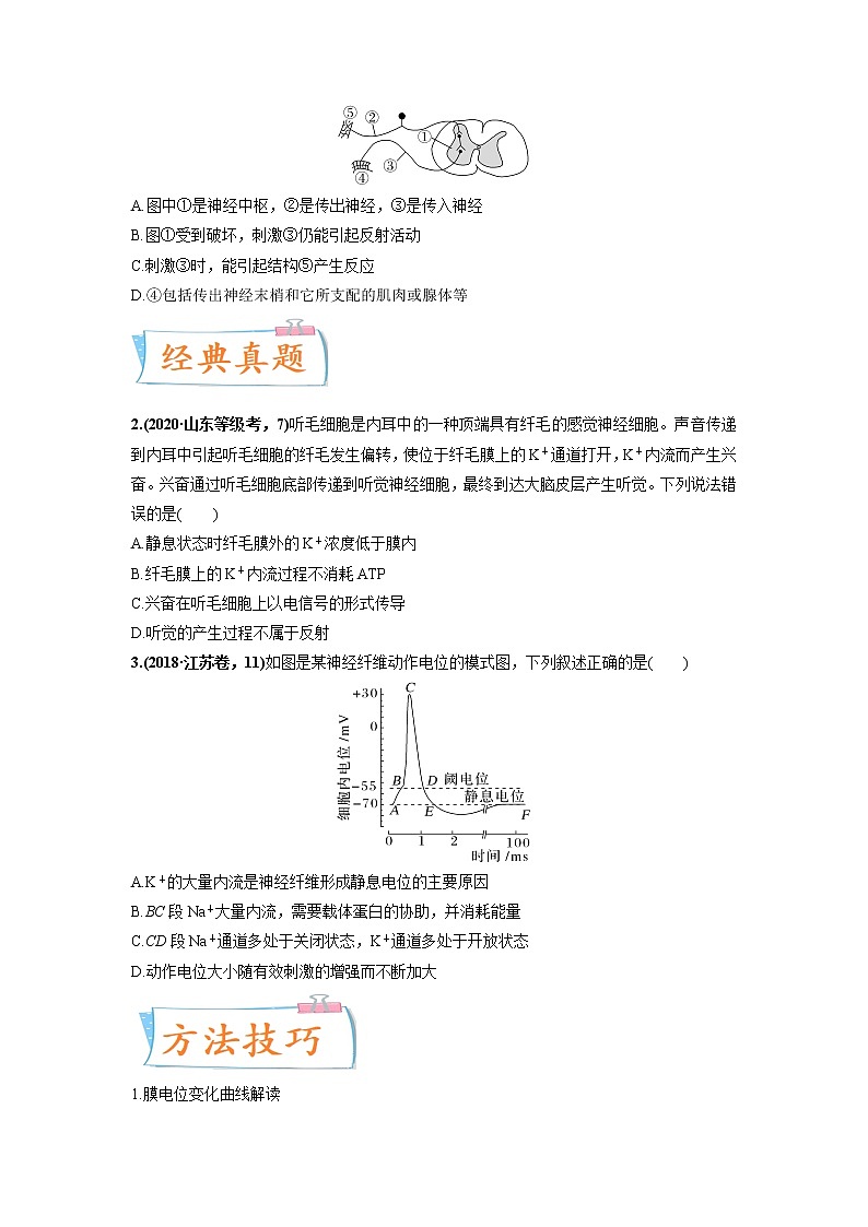 【高考考点专题复习】高考生物考点专题复习——考向17《神经调节》全能卷（全国通用）（原卷版）第3页