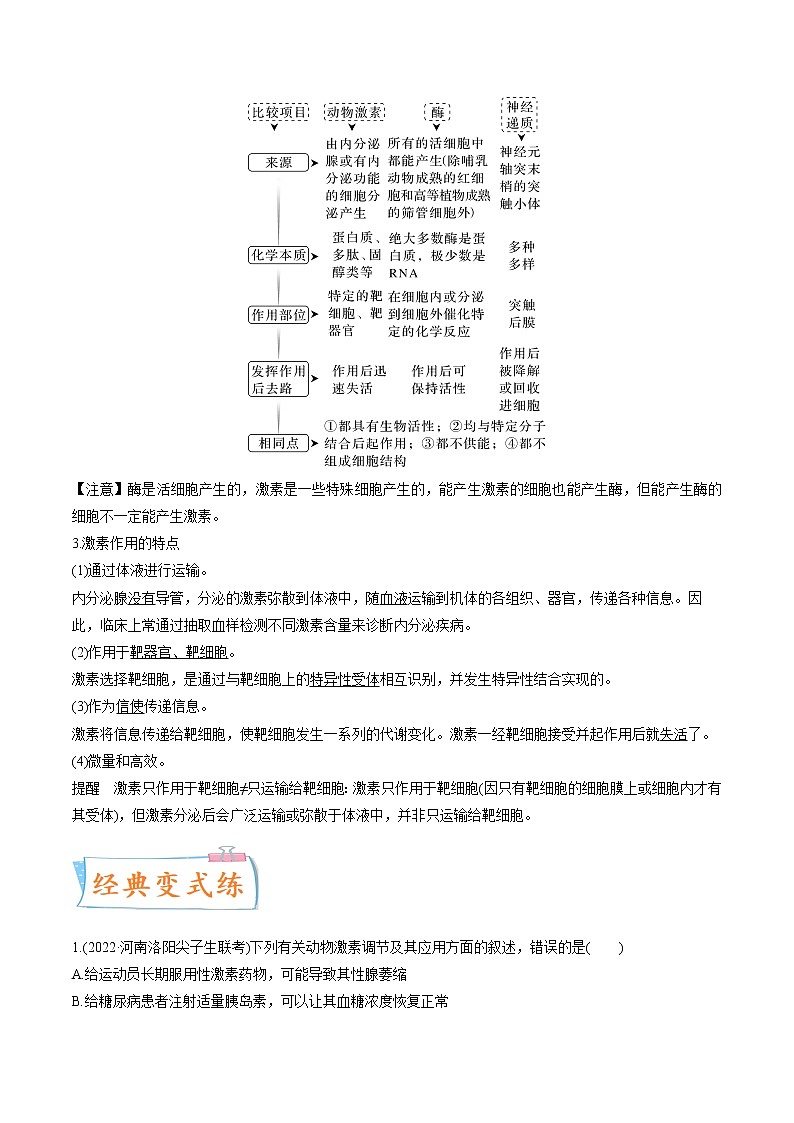 【高考考点专题复习】高考生物考点专题复习——考向18《体液调节》全能卷（全国通用）（原卷版）第2页