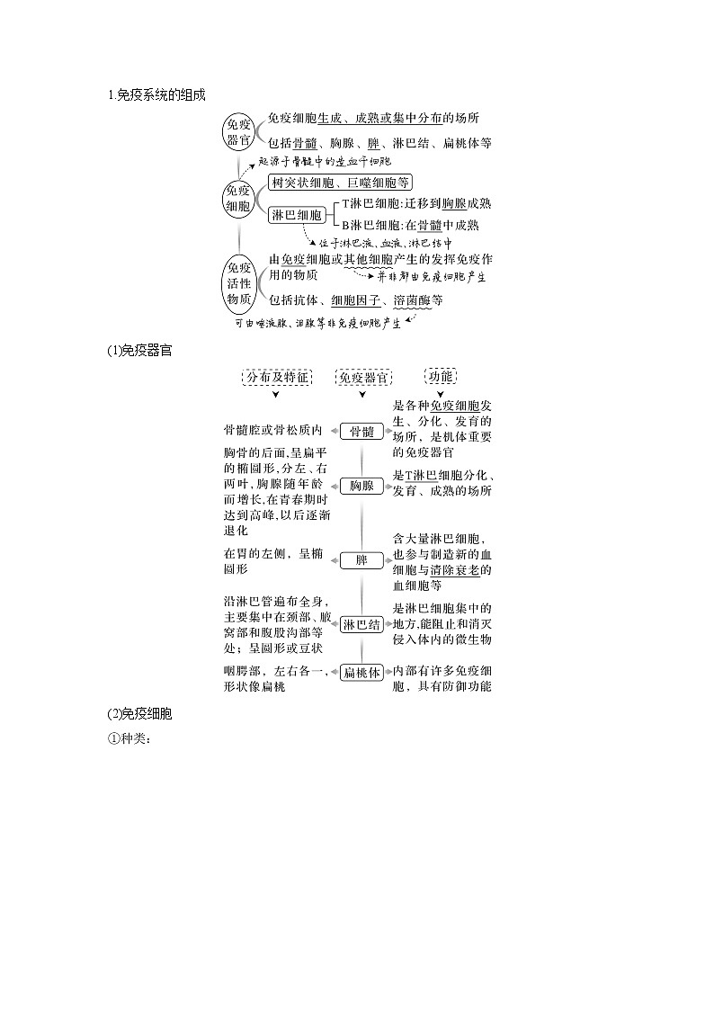 【高考考点专题复习】高考生物考点专题复习——考向19《免疫调节》全能卷（全国通用）（解析版）第2页