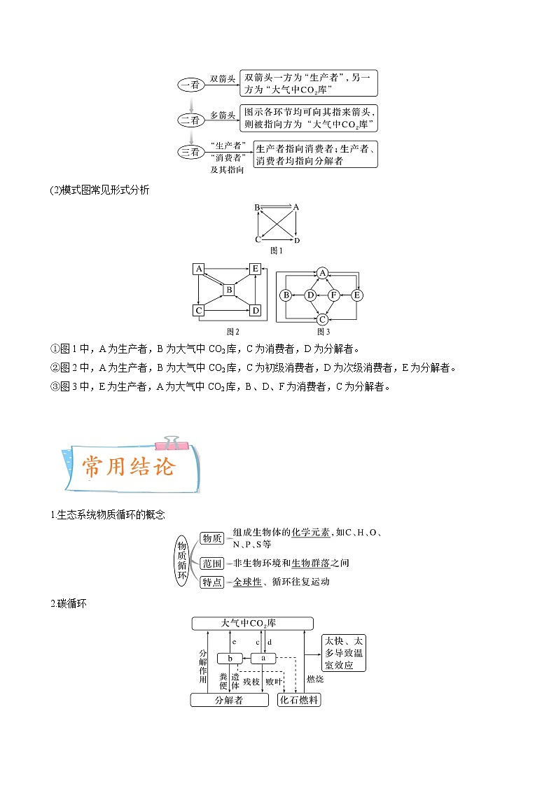 【高考考点专题复习】高考生物考点专题复习——考向24《生态系统的物质循环、信息传递与稳定性》全能卷（全国通用）（解析版）第3页