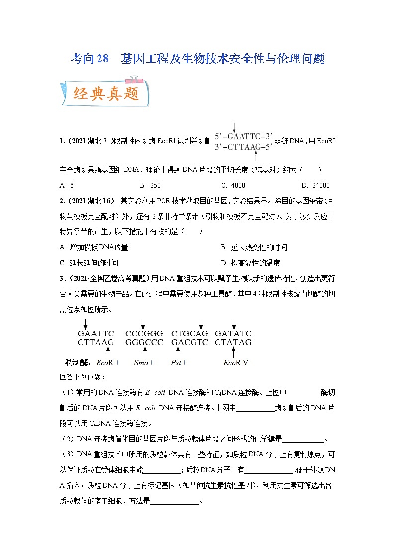 【高考考点专题复习】高考生物考点专题复习——考向28《基因工程及生物技术安全性与伦理问题》全能卷（全国通用）（原卷版）第1页