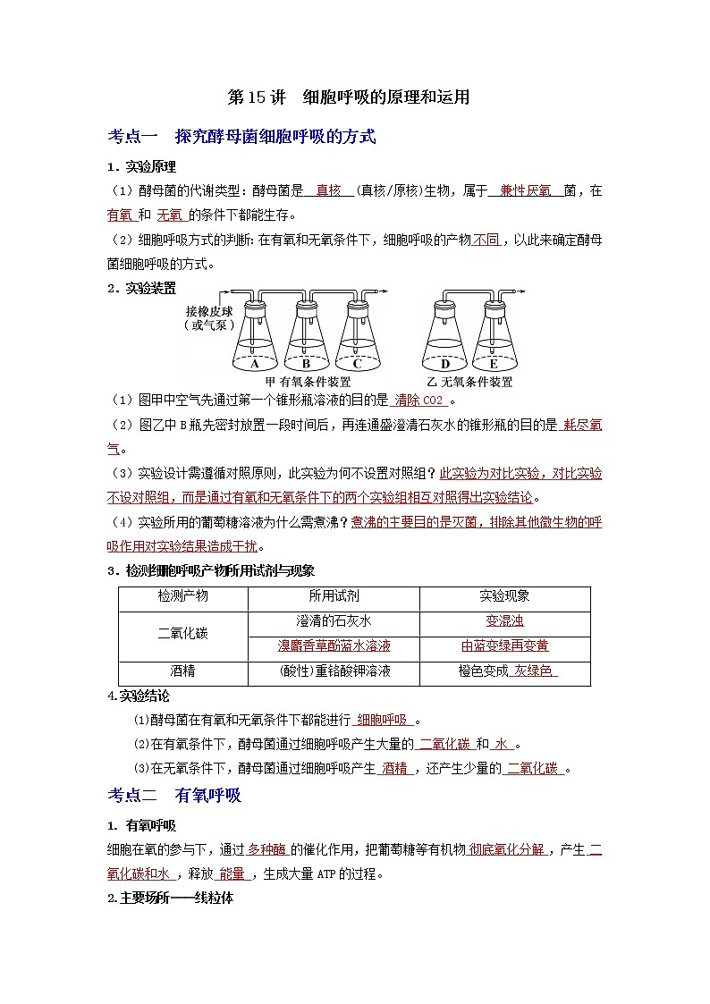 【高考精细化复习】生物（必修1）一轮复习  第15讲《细胞呼吸的原理和运用》讲义（解析版）（全国通用）第1页