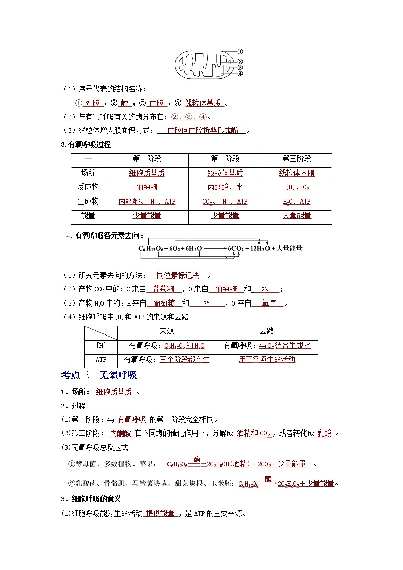 【高考精细化复习】生物（必修1）一轮复习  第15讲《细胞呼吸的原理和运用》讲义（解析版）（全国通用）第2页