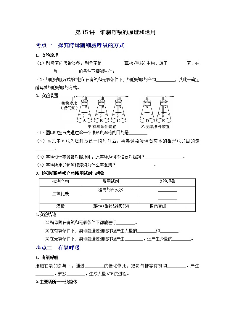【高考精细化复习】生物（必修1）一轮复习  第15讲《细胞呼吸的原理和运用》讲义（原卷版）（全国通用）第1页