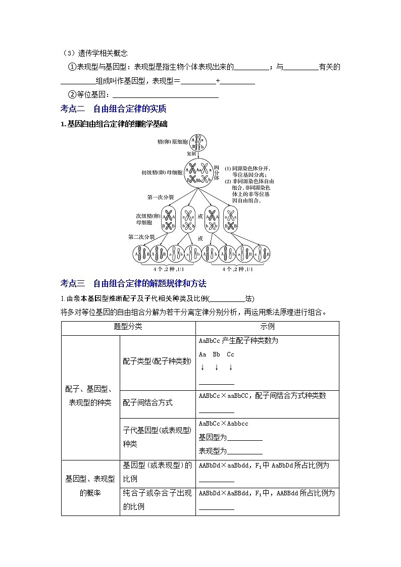 【高考精细化复习】生物（必修2）一轮复习  第2讲《孟德尔的豌豆杂交实验（二）》讲义（原卷版）（全国通用）第3页