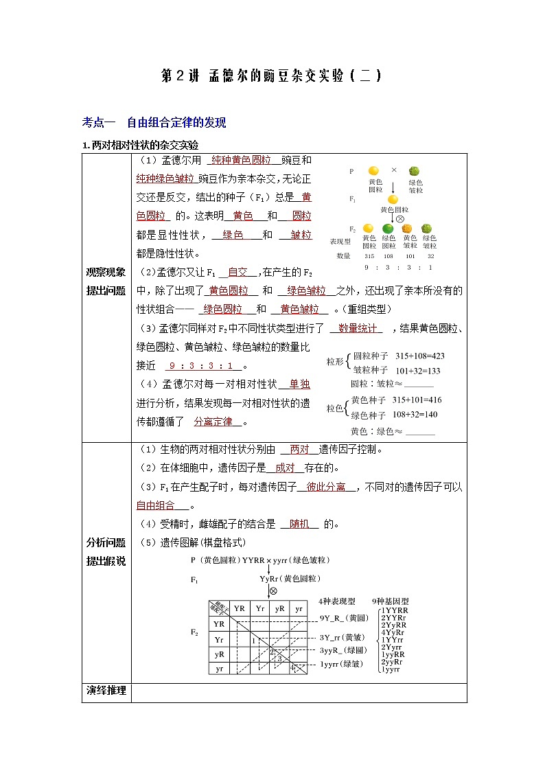【高考精细化复习】生物（必修2）一轮复习  第2讲《孟德尔的豌豆杂交实验（二）》讲义（解析版）（全国通用）第1页