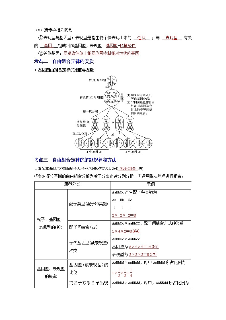 【高考精细化复习】生物（必修2）一轮复习  第2讲《孟德尔的豌豆杂交实验（二）》讲义（解析版）（全国通用）第3页