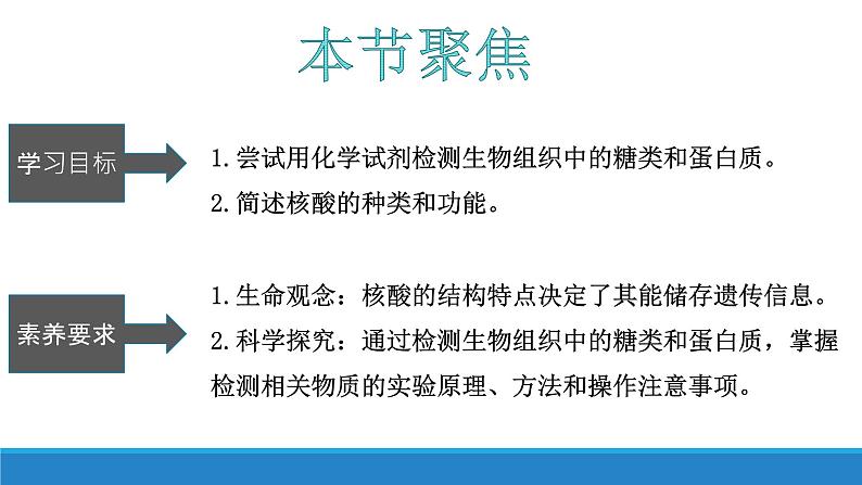 1.2 检测生物组织中的糖类和蛋白质、核酸（第4课时）-【高效备课】2022-2023学年高一生物同步备课优质课件（浙科版2019必修1）03