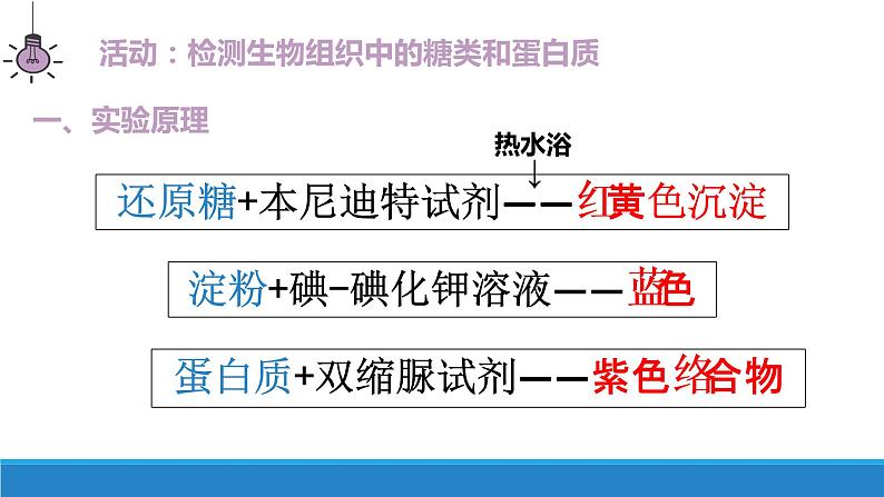 1.2 检测生物组织中的糖类和蛋白质、核酸（第4课时）-【高效备课】2022-2023学年高一生物同步备课优质课件（浙科版2019必修1）04