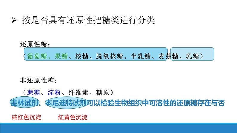 1.2 检测生物组织中的糖类和蛋白质、核酸（第4课时）-【高效备课】2022-2023学年高一生物同步备课优质课件（浙科版2019必修1）05