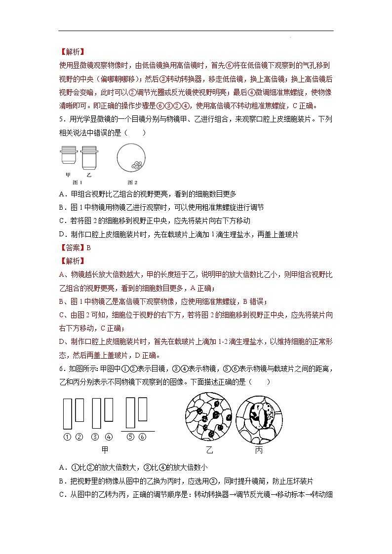 1.2 细胞的多样性和统一性（第1课时）-高中生物 课件+练习（人教版2019 必修一）03