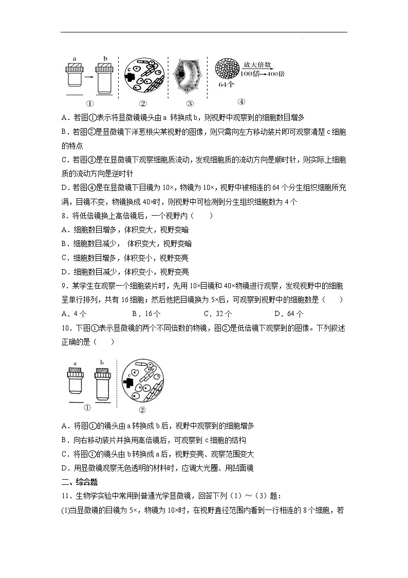 1.2 细胞的多样性和统一性（第1课时）-高中生物 课件+练习（人教版2019 必修一）03